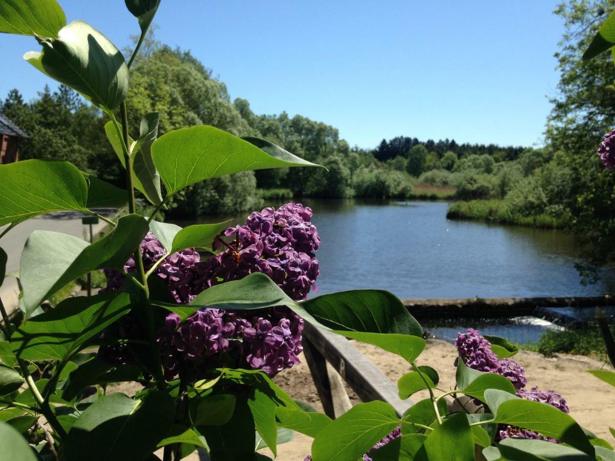 Sulkendrup Molle Apartamento Nyborg Exterior foto